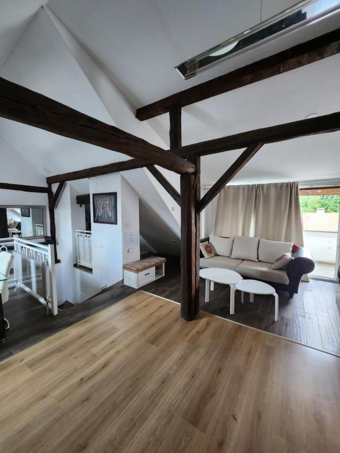 Apartmán Apartman Buzanova 001 Záhřeb Exteriér fotografie