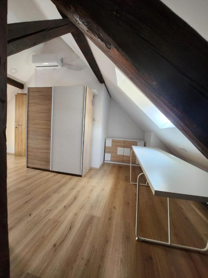 Apartmán Apartman Buzanova 001 Záhřeb Exteriér fotografie