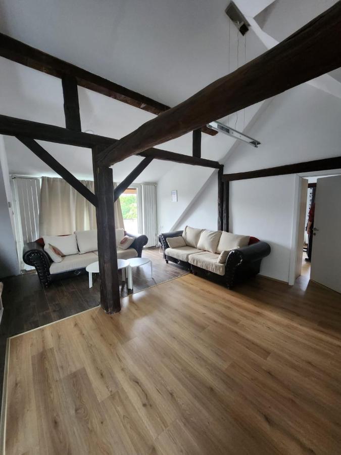 Apartmán Apartman Buzanova 001 Záhřeb Exteriér fotografie